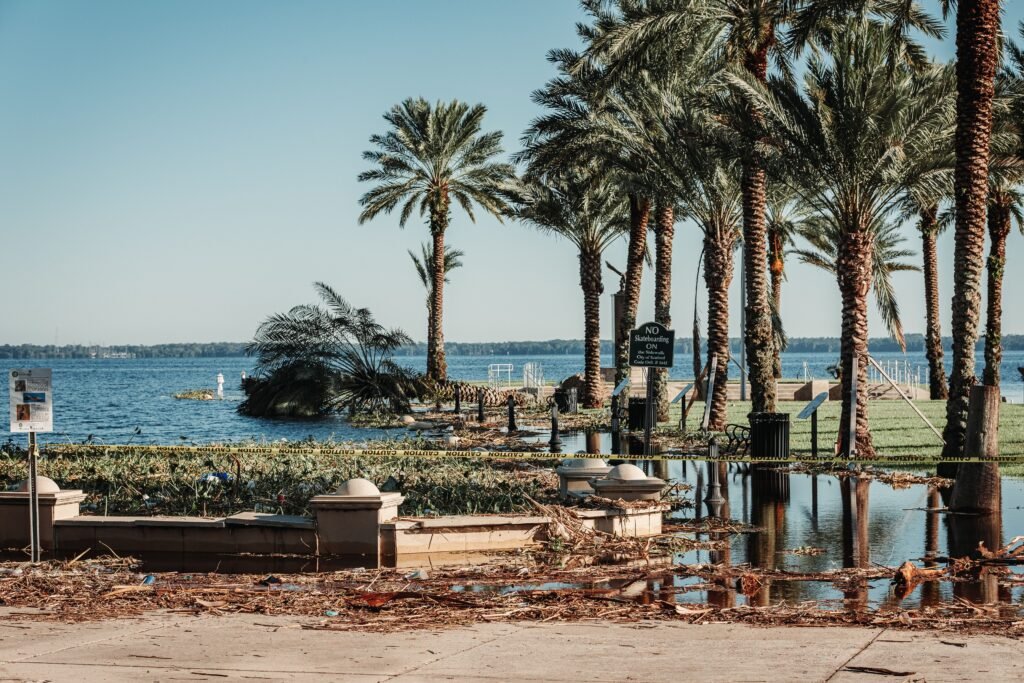 Flooded coastal area with palm trees and an occluded path post-storm damage in Florida.