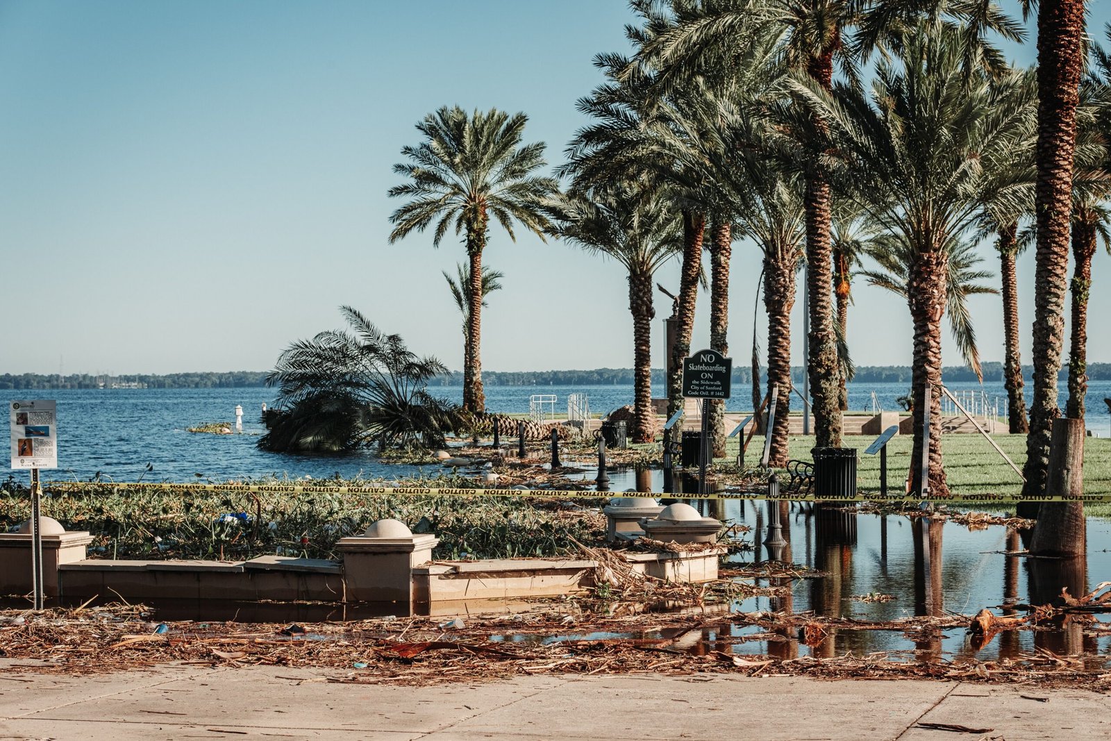 Flooded coastal area with palm trees and an occluded path post-storm damage in Florida.