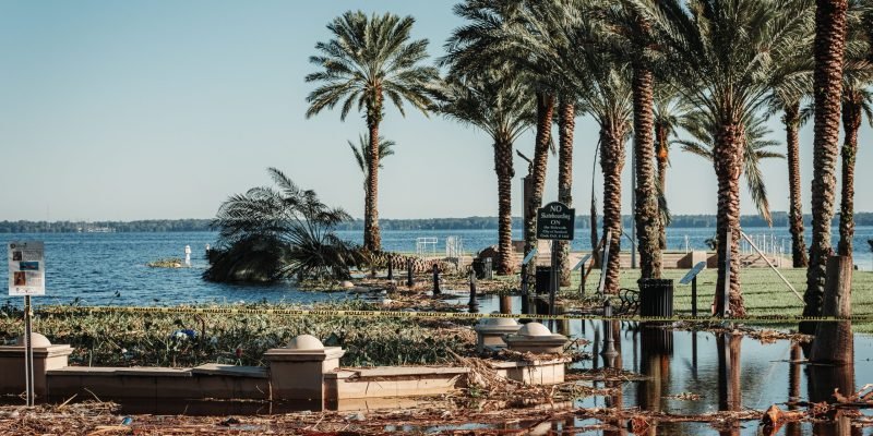 Flooded coastal area with palm trees and an occluded path post-storm damage in Florida.